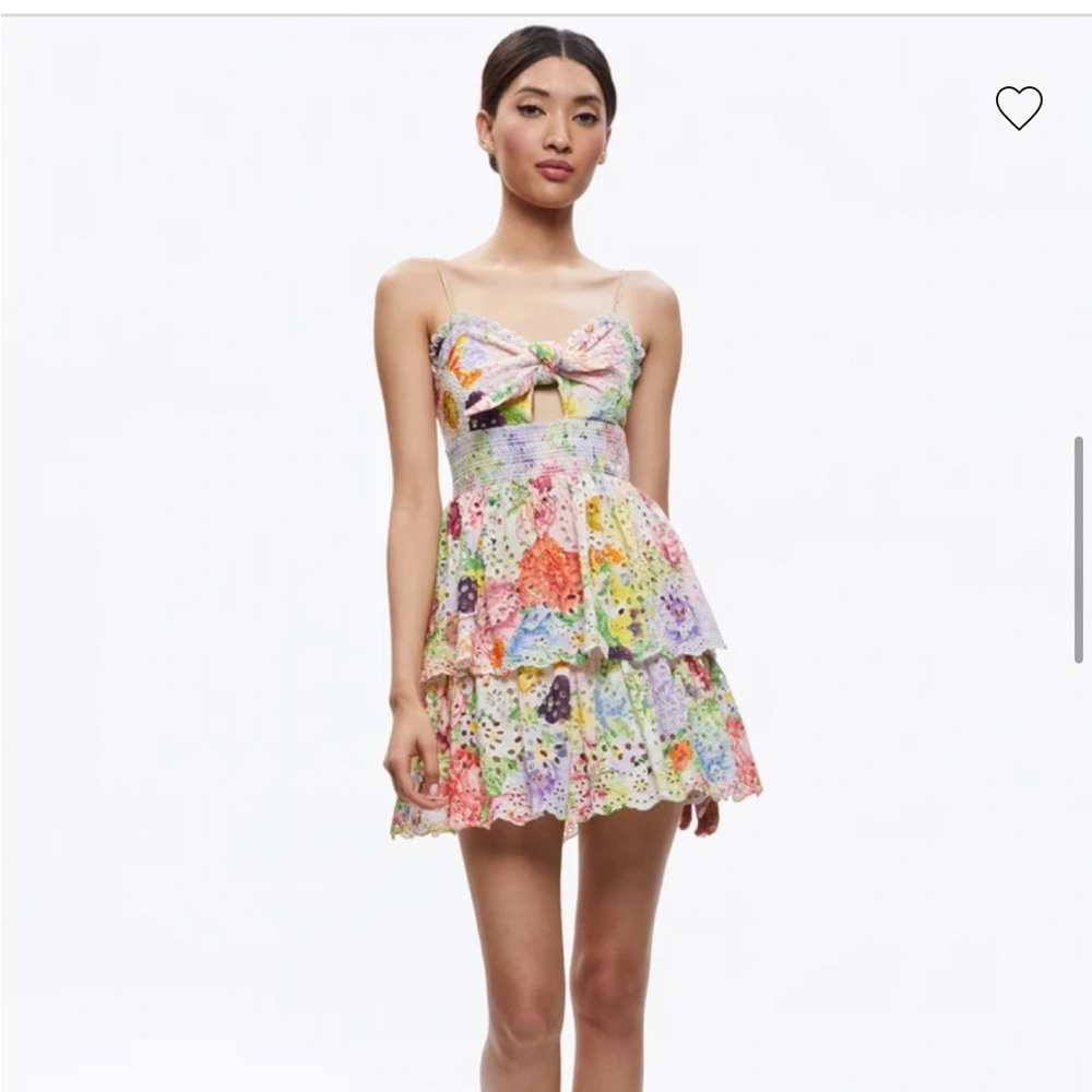NWT Alice + Olivia dress